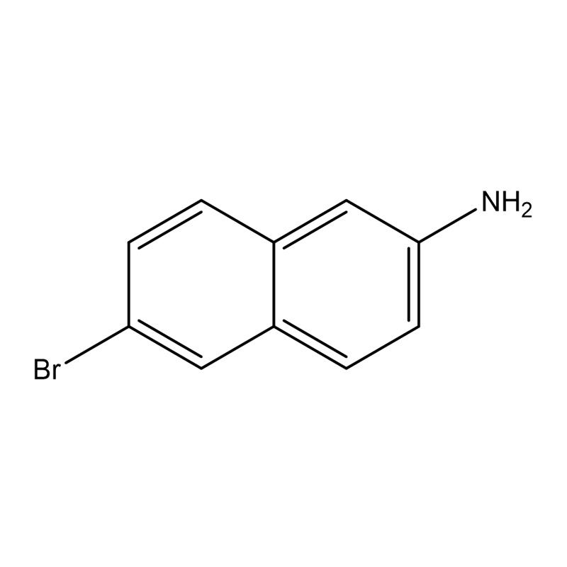 6-Bromonaftalin-2-amin