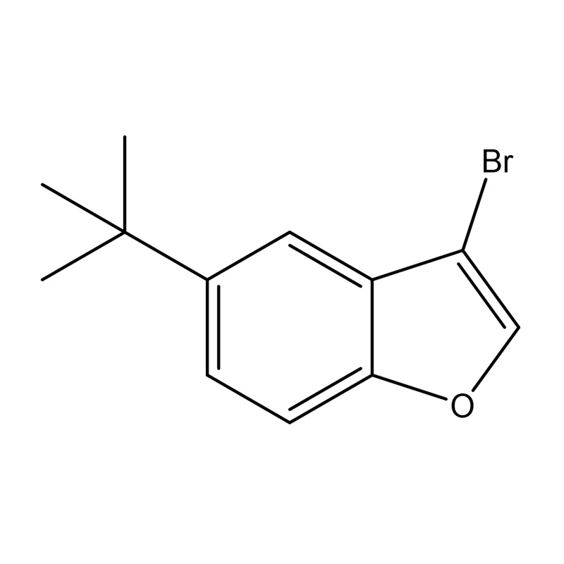 3-Bromo-5-tert-bütilbenzofuran
